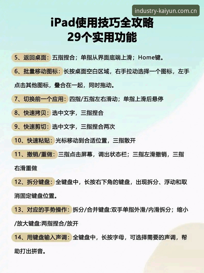 掌握开云苹果版对比的实用技巧：从下载到体验的全面分析