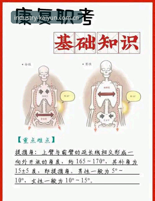 梅里诺伤愈复出备战欧冠决赛的实用必备知识：从康复到大赛的完整指南